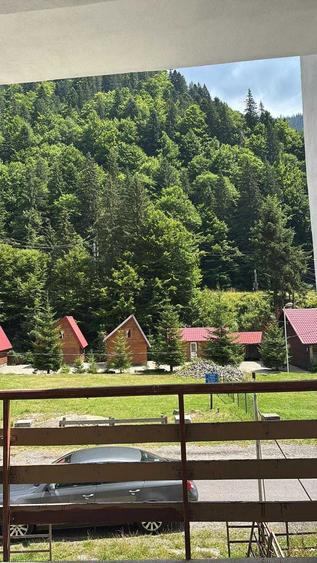 Casă cu 4 camere în Arefu