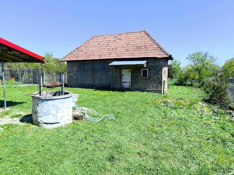 Casa in sat Ceanu Mic 1550 mp - 4