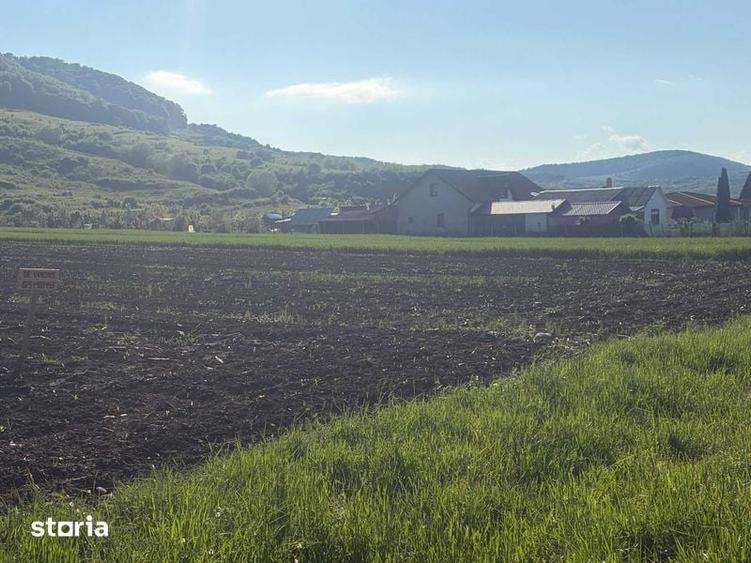 Teren de 2500 mp, în Șieu