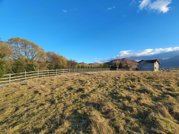 Teren Construcții extravilan de 7700 mp, în Glăjărie