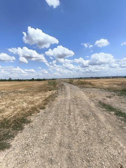 Teren Construcții intravilan de 7100 mp, în Păulești