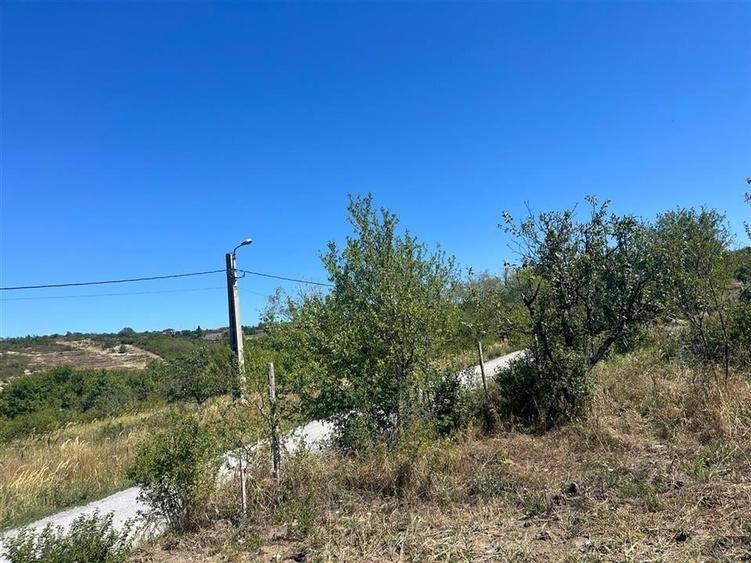 Teren Construcții intravilan de 4251 mp, în Dealuri Oradea