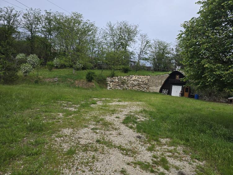 Teren de 38464 mp, în Beharca