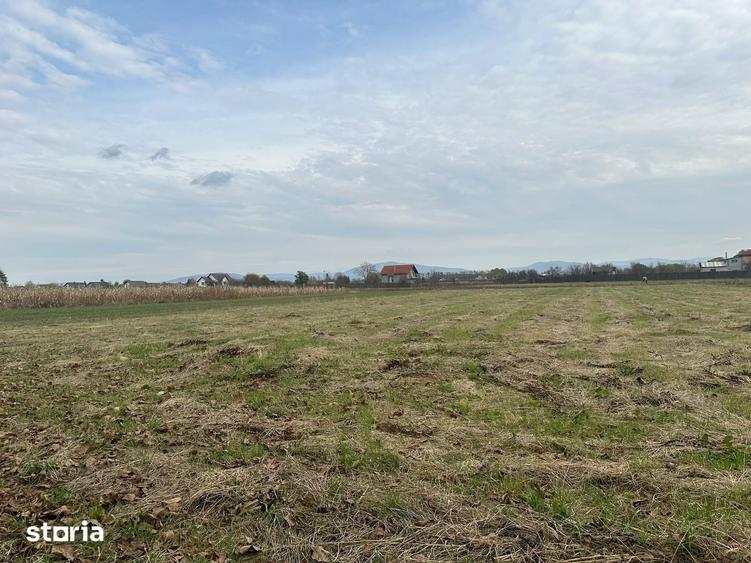 Teren de 2700 mp, în Hărman