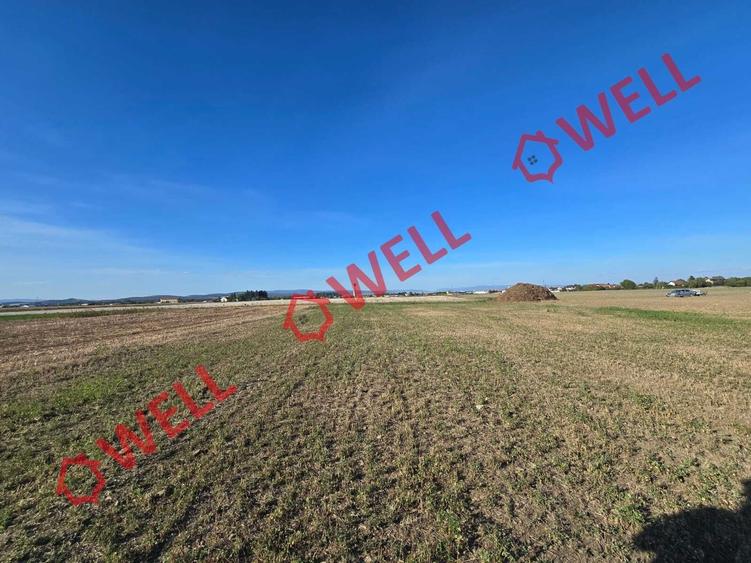 Teren agricol extravilan de 10000 mp, în Prejmer