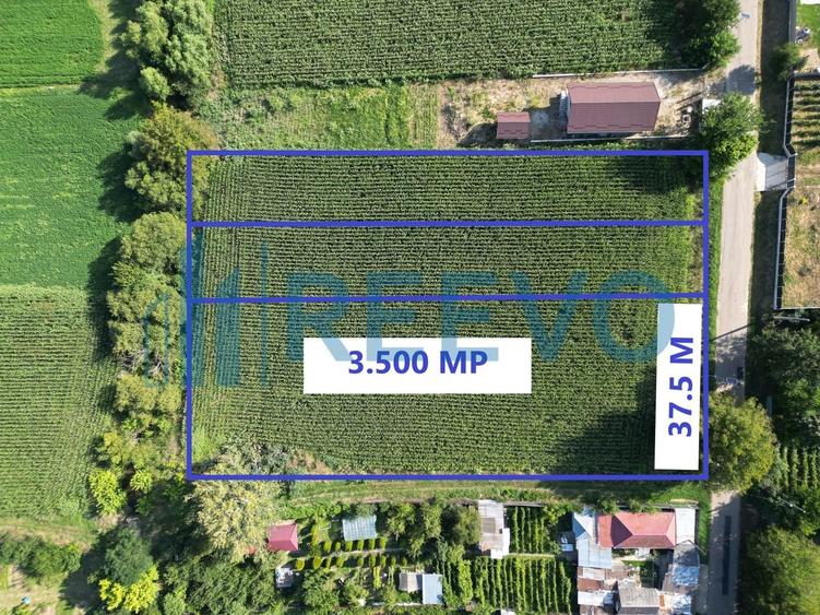Teren Construcții intravilan de 3500 mp, în Bogdănești (Traian)
