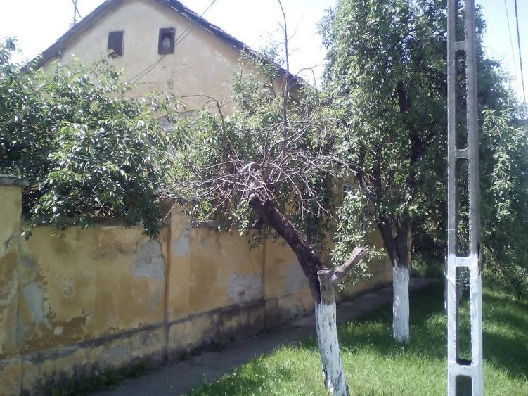 Casa 4 cam. in Vinga central - ID : RH-7723-property - 3