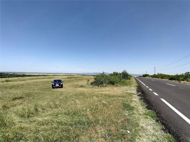 Teren de 14500 mp, în Nicolinț