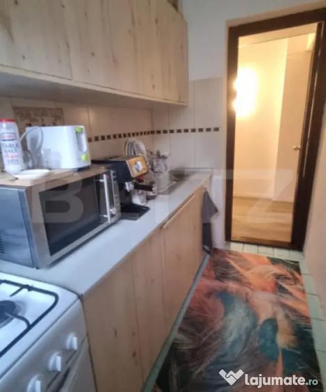 Apartament 2 Camere, Etaj 2 - Zona George Enescu - 2