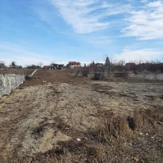 Teren intravilan de 6614 mp, în Corbeanca - 5