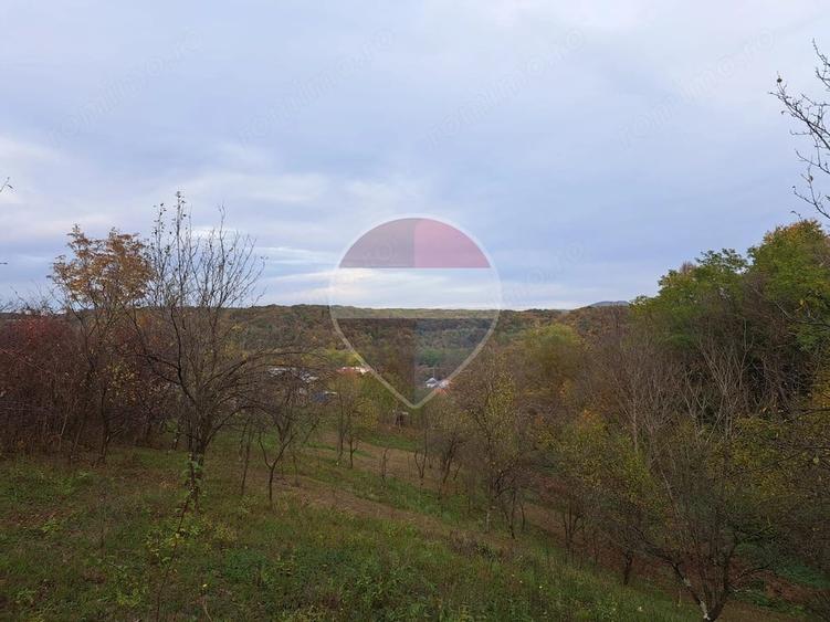 Teren de 3500 mp, în Poiana