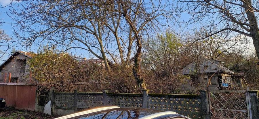 Vanzare teren cu casa batraneasca