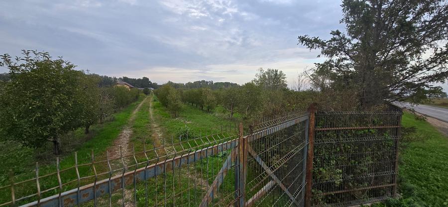 Teren agricol extravilan de 18000 mp, în Boțârlău