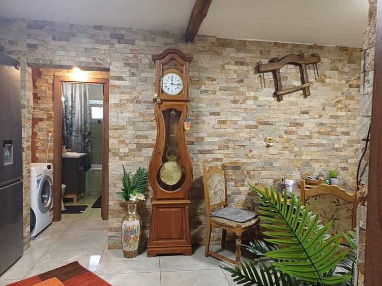 Apartament cu 2 camere decomandat în Rovine