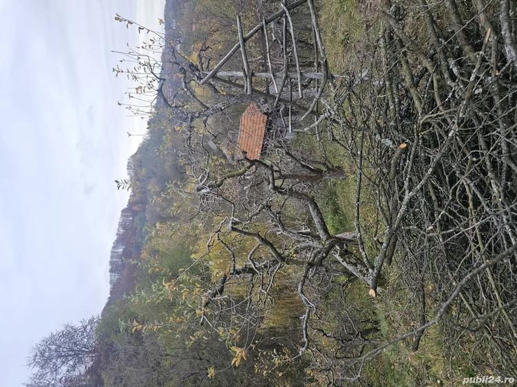 Casă cu 4 camere în Văleni-Dâmbovița