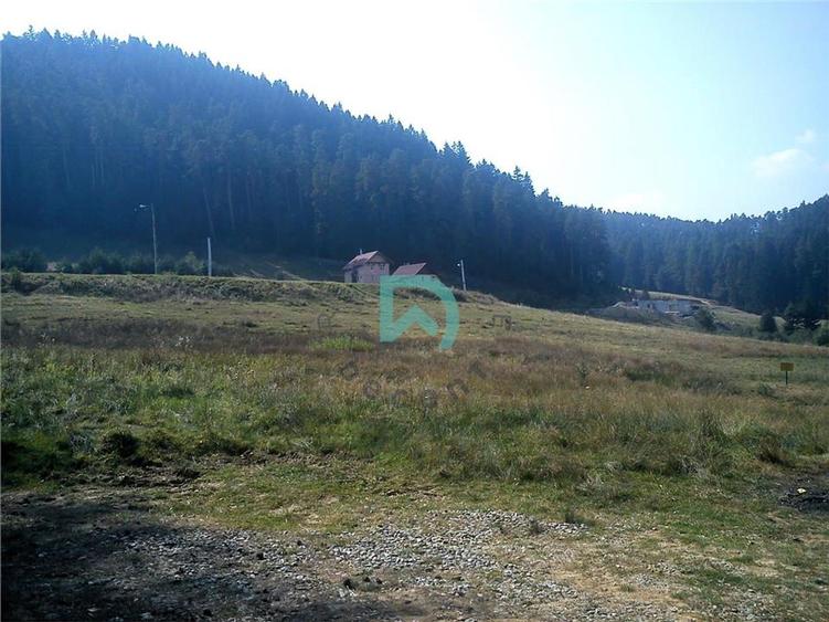 Teren Construcții intravilan de 1500 mp, în Poiana Angelescu