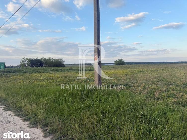 Teren de 2000 mp, în Tămășeu