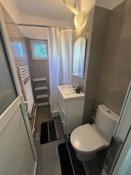 Apartament cu 2 camere semidecomandat, mobilat în Craiovița Nouă