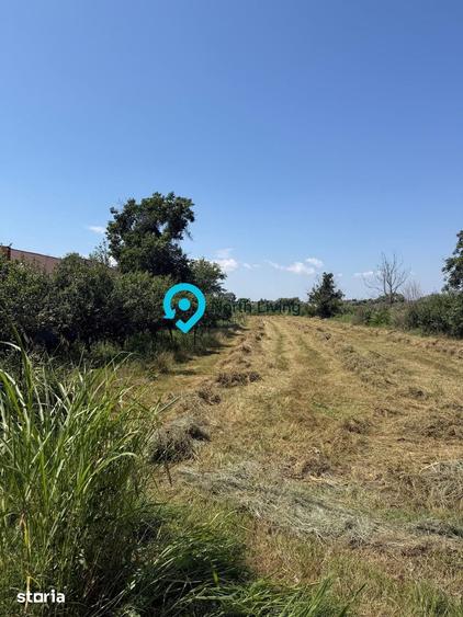 Teren de 4000 mp, în Comana