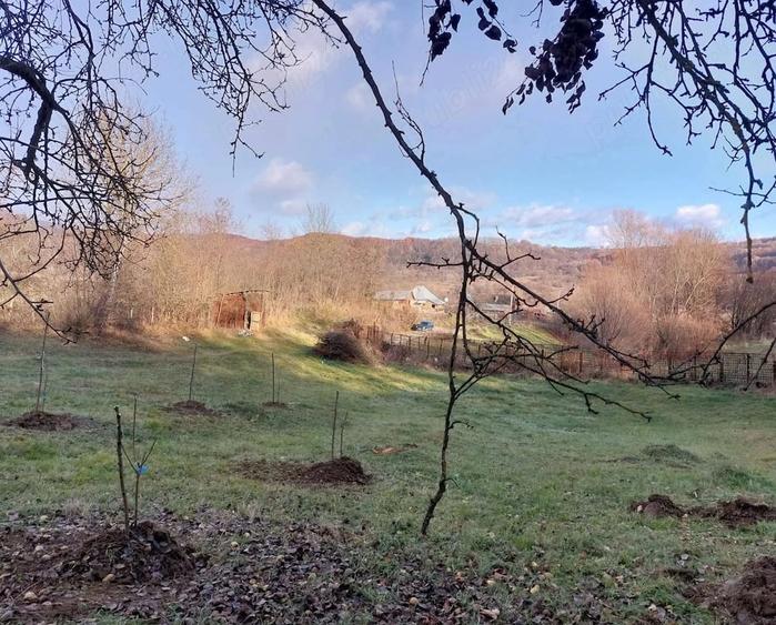 Teren de 3357 mp, în Valea Iașului