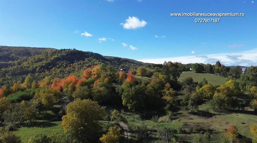Teren Construcții intravilan de 3500 mp, în Cacica