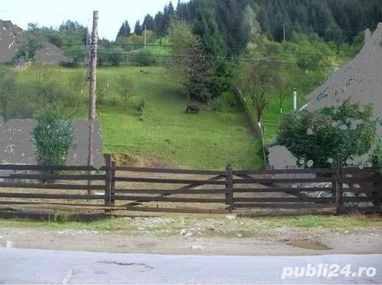 Teren construibil intravilan la 1 km de centrul orasului Borsa Maramures - 4