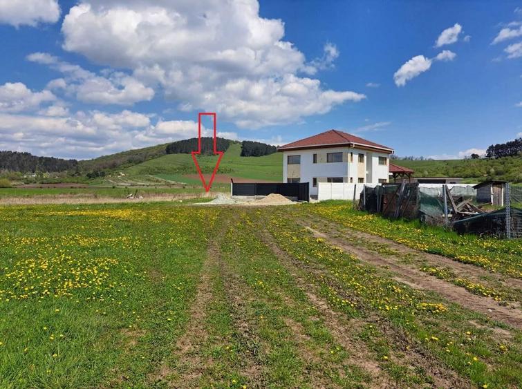 Spațiu comercial, în Sânpetru