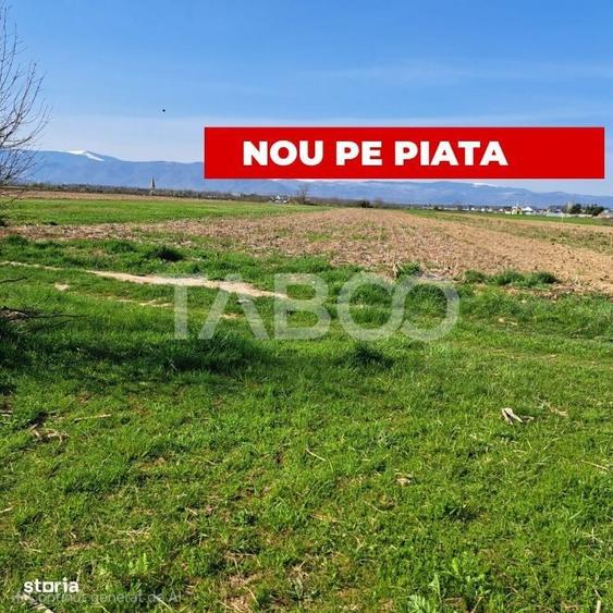 Spațiu comercial, în Șelimbăr
