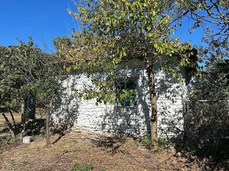 Casă cu Teren 1800 Mp în Comana