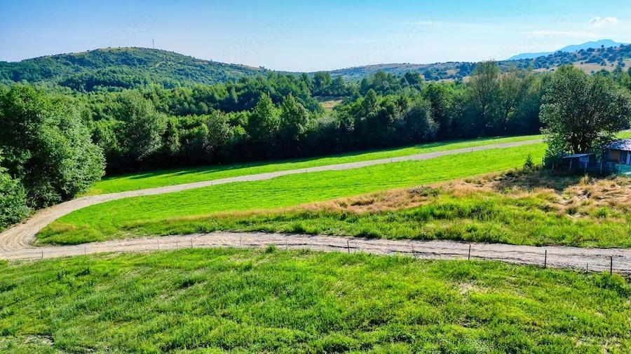 Teren intravilan zona Bran-Tohanita,langa padure intre 500 si 1000 m - 2