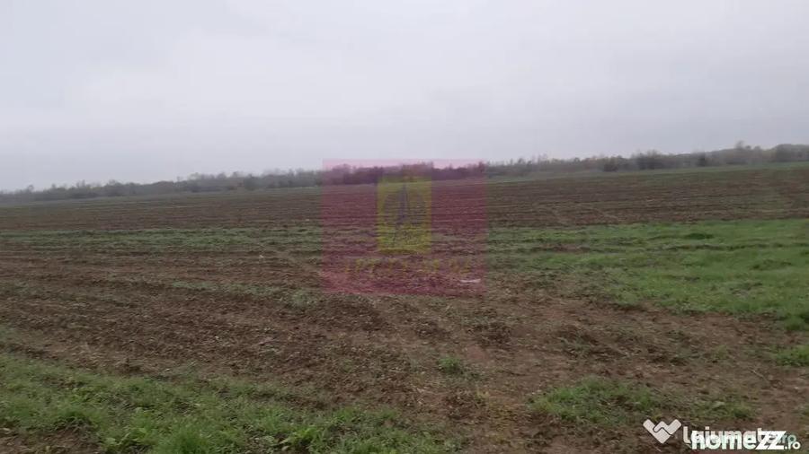 Teren Investi?ie aproape de Bucure?ti - 1 Decembrie (Bucuresti-Ilfov) - 7