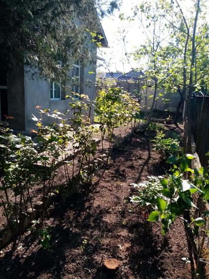 Casă cu 5 camere cu Teren 1717 Mp în Corabia