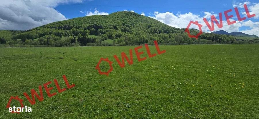Spațiu comercial, în Vama Buzăului