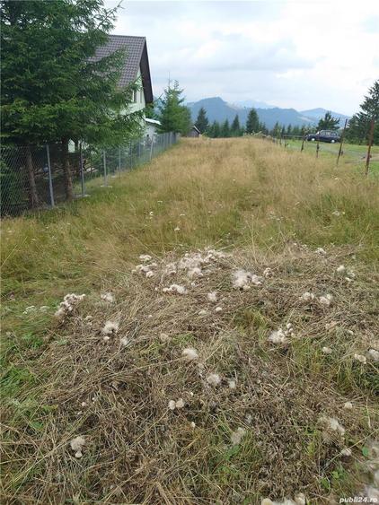 Teren de 7000 mp, în Piatra