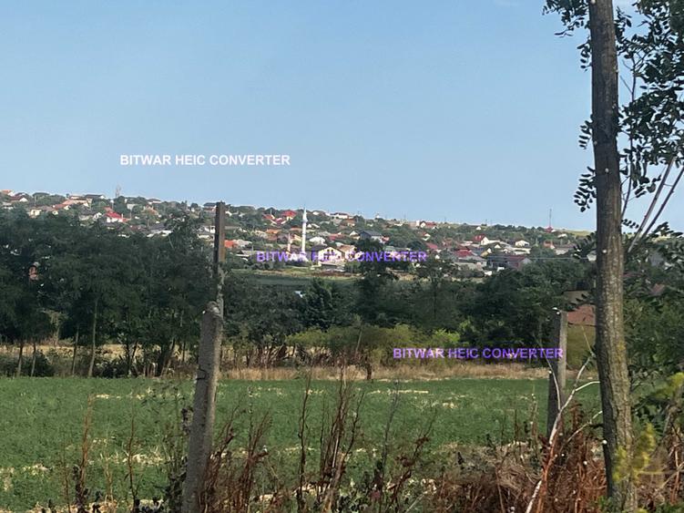 Teren intravilan Tuzla, 2500mp, deschidere 45m, oportunitate excelenta - 2