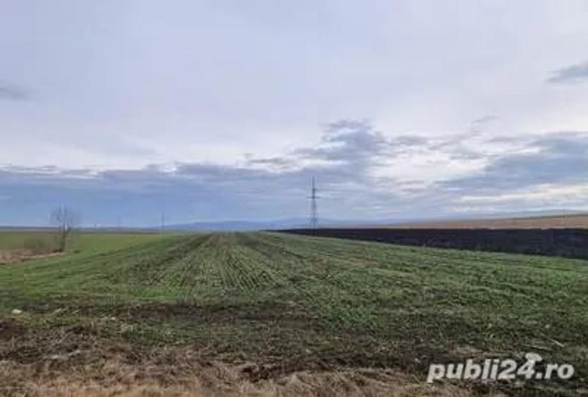 Teren de 13 mp, în Boldești
