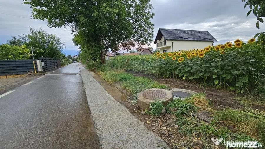 Teren în Lisaura