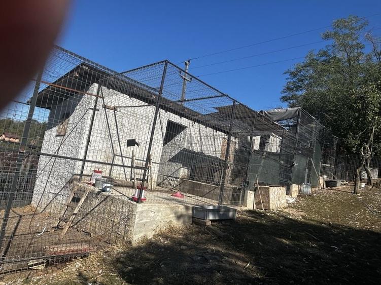 Casă cu 4 camere în Albota