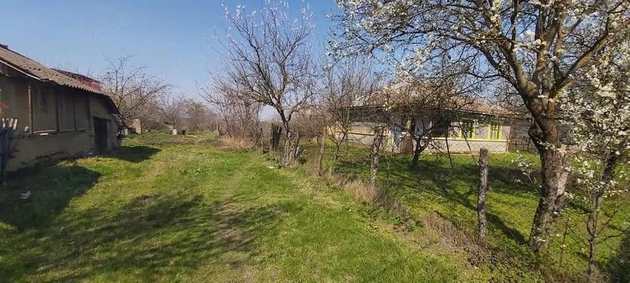 Teren de 7700 mp, în Letca Veche