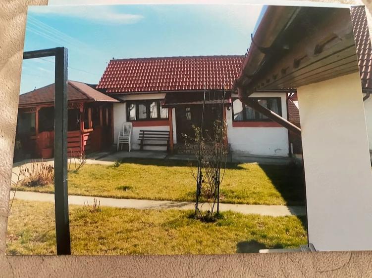 Casă cu Teren 3000 Mp în Schela
