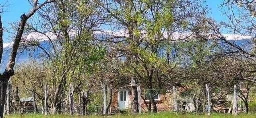 Casă în Central