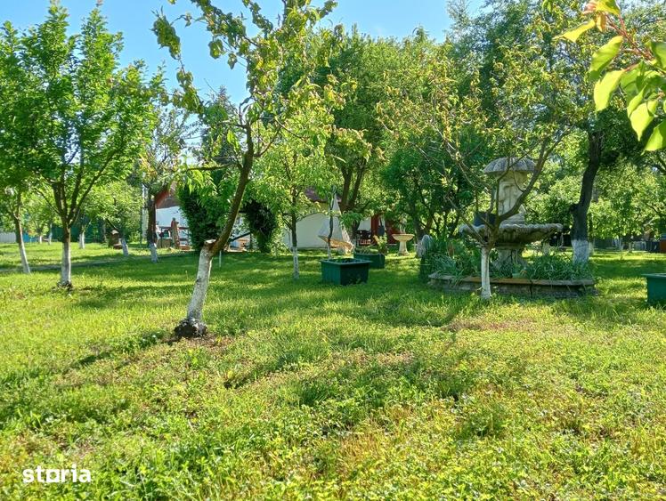 Casă cu 5 camere cu Teren 3053 Mp în Gruiu