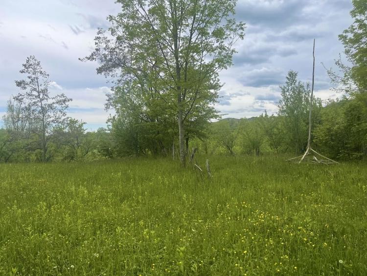 Teren Construcții intravilan de 6762 mp, în Șotrile