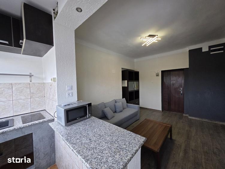 Apartament cu 2 camere de inchiriat in zona Cismigiu - 4