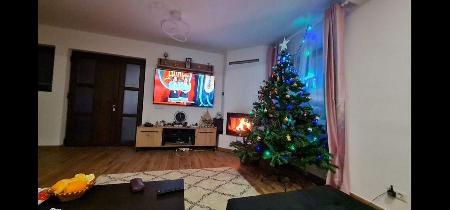 Casă cu 4 camere în Horia
