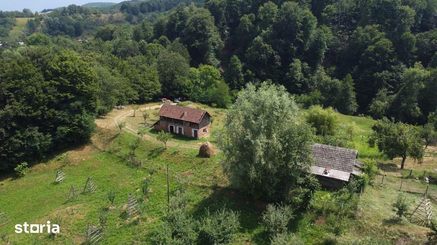Teren de 6200 mp, în Cicănești