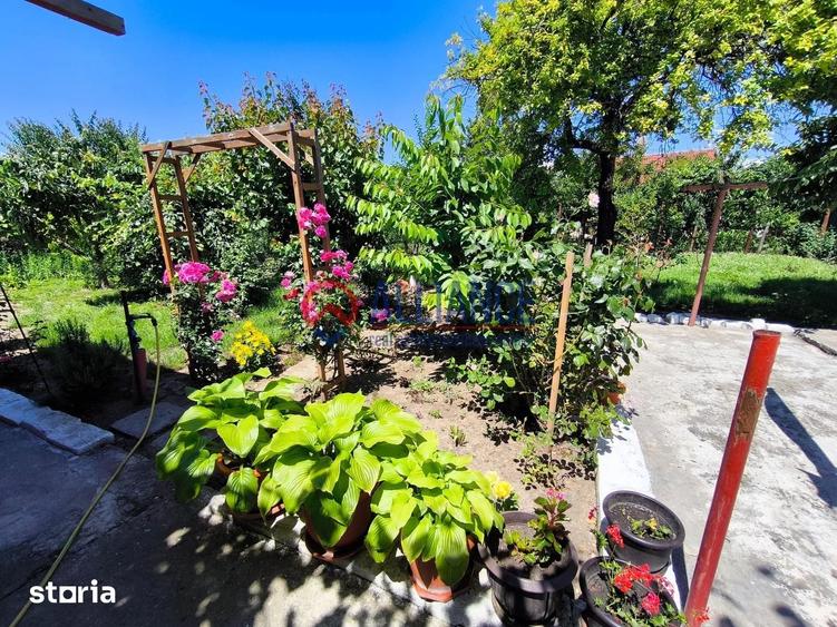 Casă cu 4 camere cu Teren 770 Mp în Viile Noi