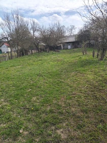Inchiriez casa ideal afacere 9000 mp Teren - 12