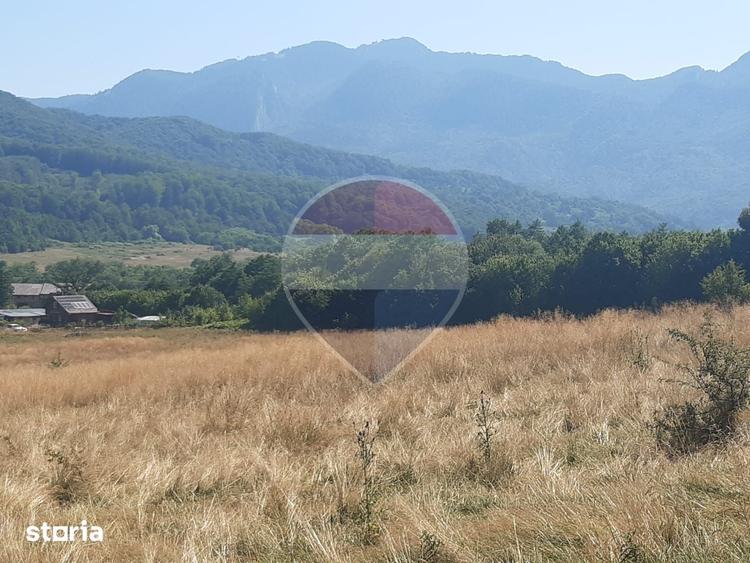 Teren extravilan-pasune, 6,300mp Rasnov / Soseaua Risnov-Paraul Rece - 3