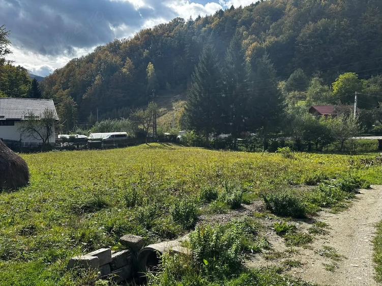 Teren de 2500 mp, în Central
